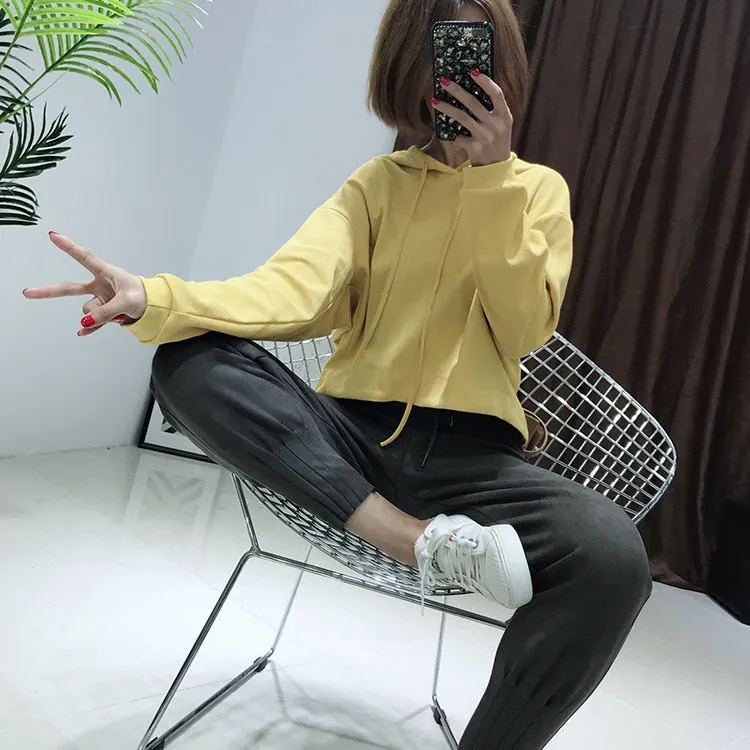 Soft Suede Harem Pants